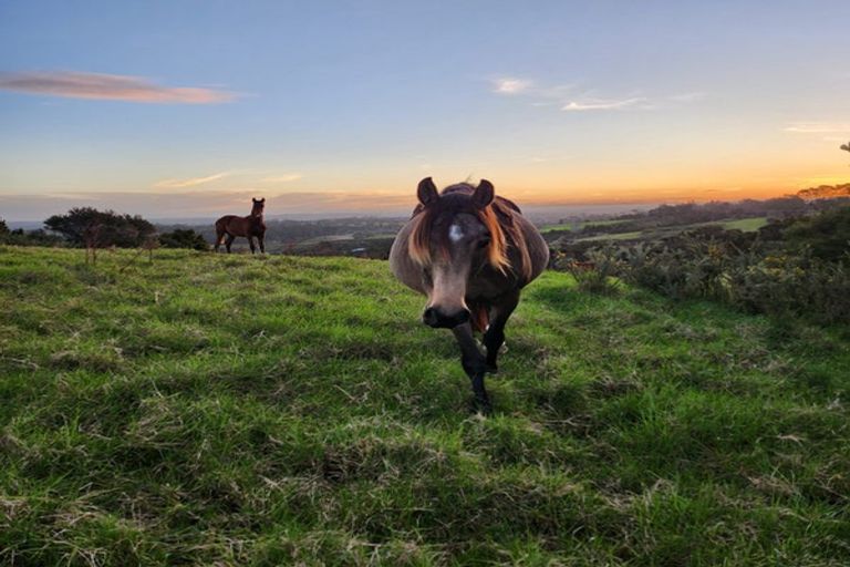 Photo of property in 2 Waitete Heights Lane, Kerikeri, 0294