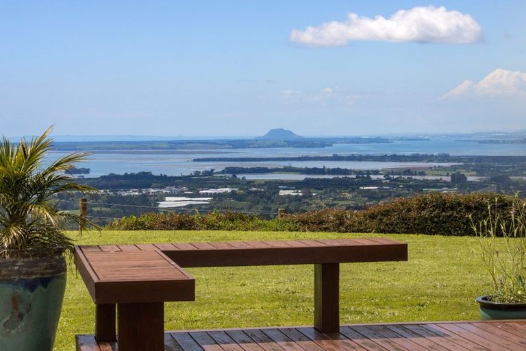 Photo of property in 410c Busby Road, Tahawai, Katikati, 3170