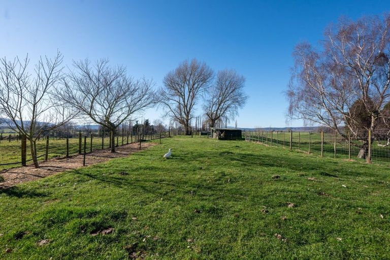 Photo of property in 29 Halcrow Road, Reporoa, 3081