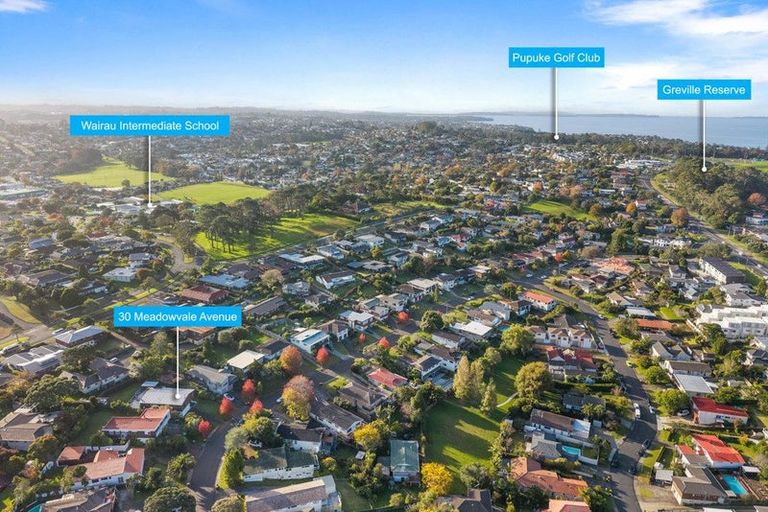 Photo of property in 30 Meadowvale Avenue, Forrest Hill, Auckland, 0620