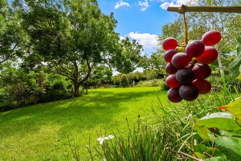 Photo of property in 4186 Kaipara Coast Highway, Tauhoa, Warkworth, 0984