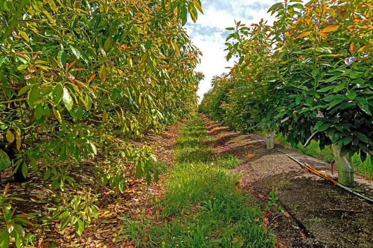 Photo of property in 341 Wharerata Road, Matawhero, Gisborne, 4071