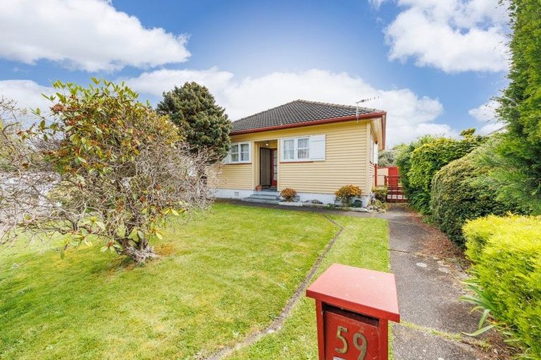 Photo of property in 59 Manson Street, Terrace End, Palmerston North, 4410