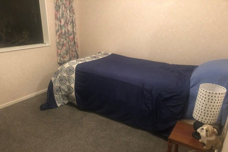 Photo of property in 181 Cheyne Road, Pyes Pa, Tauranga, 3112