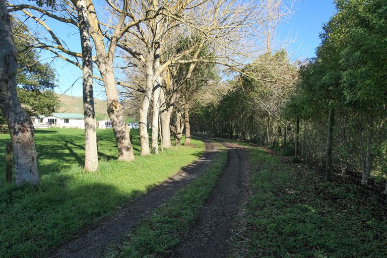 Photo of property in 44 Matakotea Road, Raglan, 3295