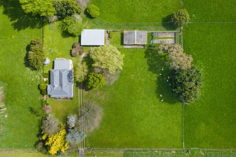 Photo of property in 11 Lawton Road, Feilding, 4775