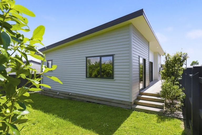 Photo of property in 33a Keepa Street, Levin, 5510