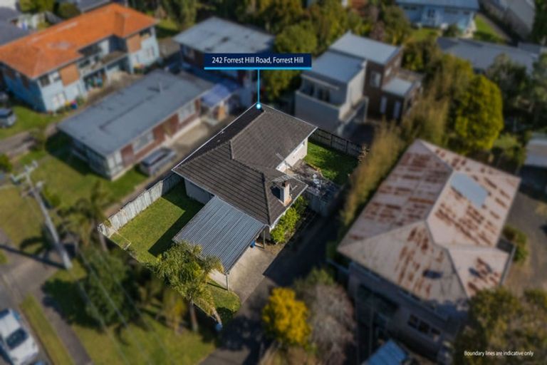 Photo of property in 242 Forrest Hill Road, Forrest Hill, Auckland, 0620