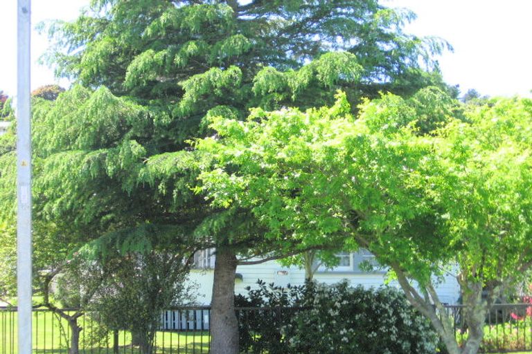 Photo of property in 29 Perry Street, Mangapapa, Gisborne, 4010