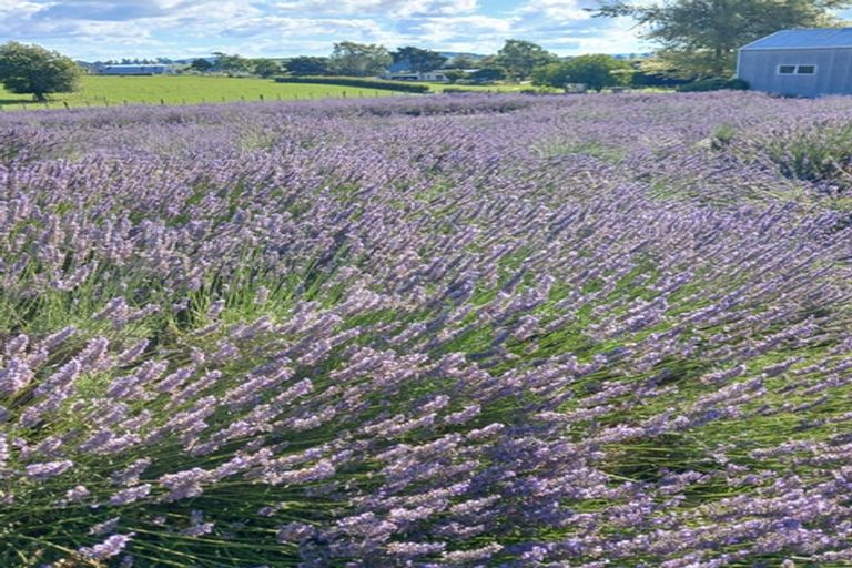 Photo of property in 169 Brotherhood Road, Kihikihi, Te Awamutu, 3875