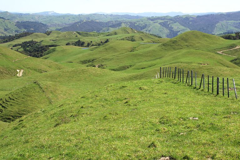 Photo of property in 89 Mcdonald Street, Napier South, Napier, 4110