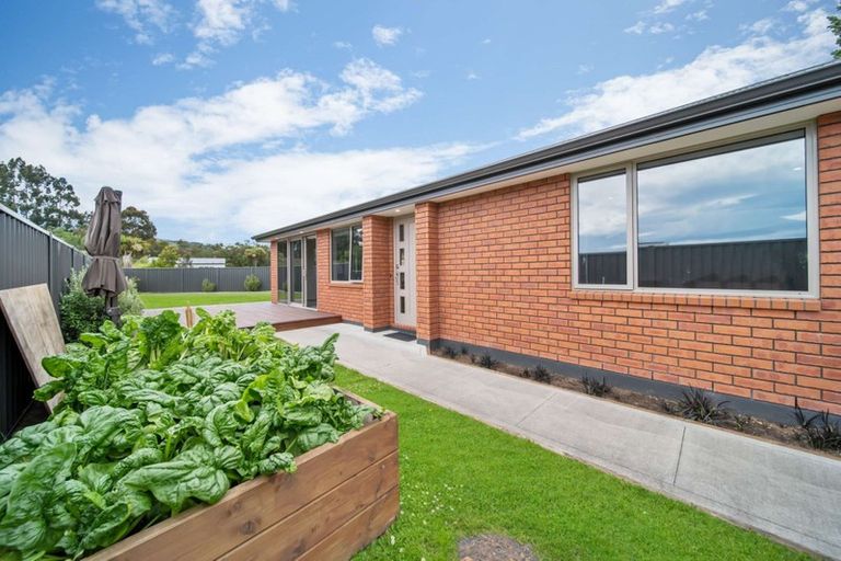 Photo of property in 4b Henderson Street, Mornington, Dunedin, 9011