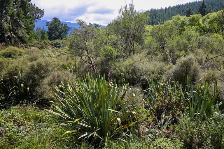 Photo of property in 538 Waiwhero Road, Ngatimoti, Upper Moutere, 7175