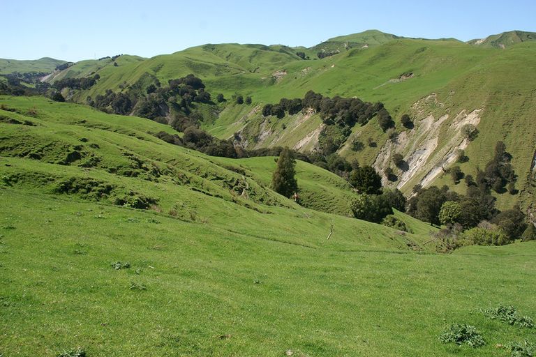 Photo of property in 89 Mcdonald Street, Napier South, Napier, 4110