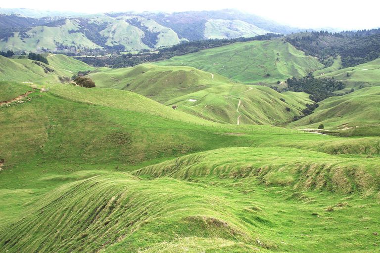 Photo of property in 89 Mcdonald Street, Napier South, Napier, 4110