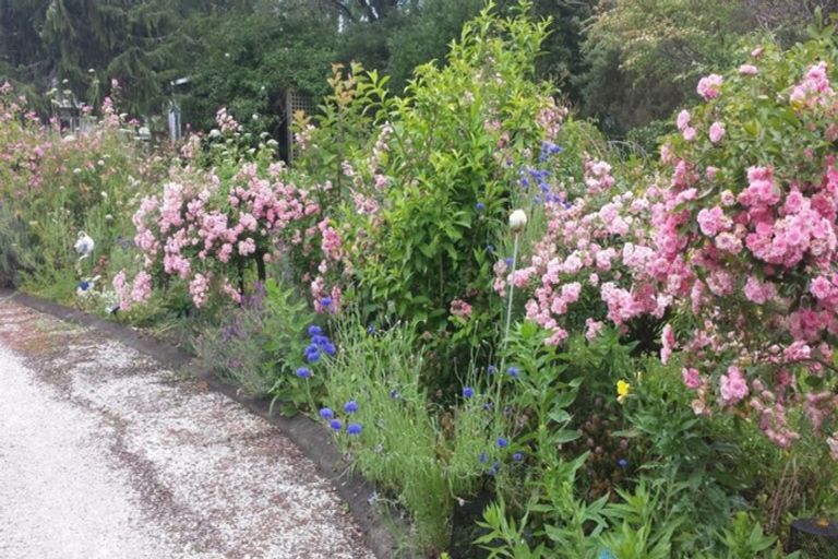 Photo of property in 120 Kahikatea Flat Road, Dairy Flat, Albany, 0794