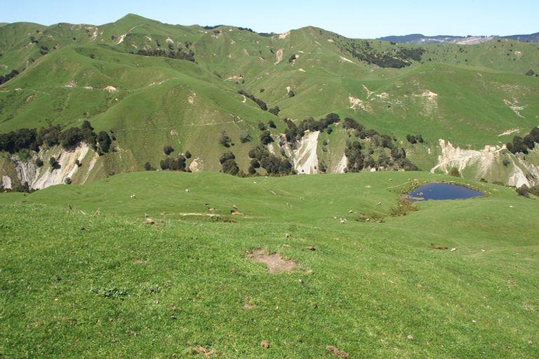 Photo of property in 89 Mcdonald Street, Napier South, Napier, 4110