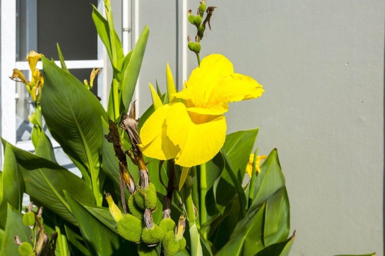 Photo of property in 22 Maher Street, Elderslea, Upper Hutt, 5018