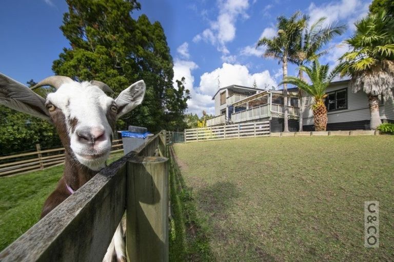 Photo of property in 47 O'brien Road, Lucas Heights, Albany, 0793