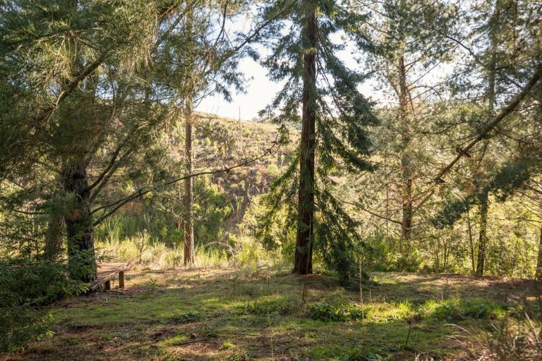 Photo of property in 165a Stringer Road, Redwood Valley, Richmond, 7081