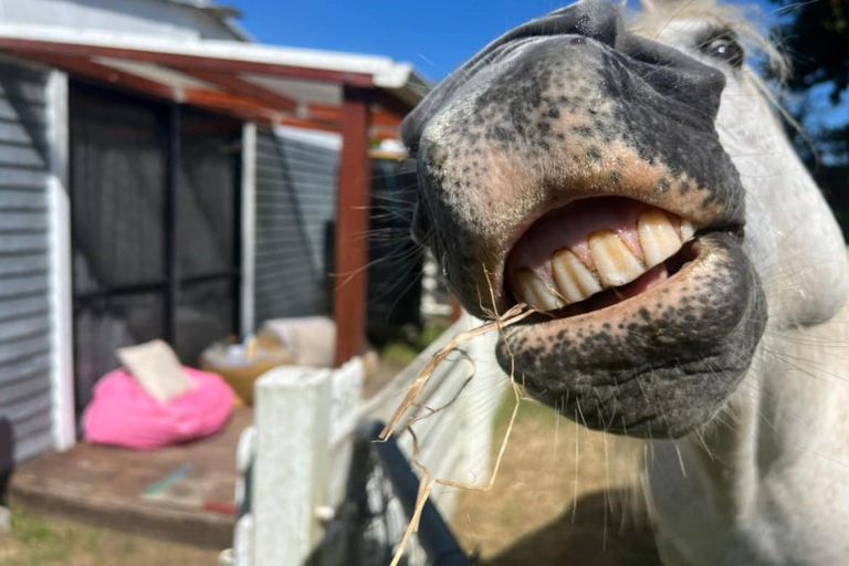 Photo of property in 5 Tapapa Road, Tapapa, Tirau, 3485