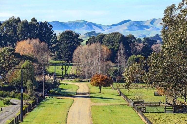 Photo of property in 219a Porangahau Road, Waipukurau, 4200