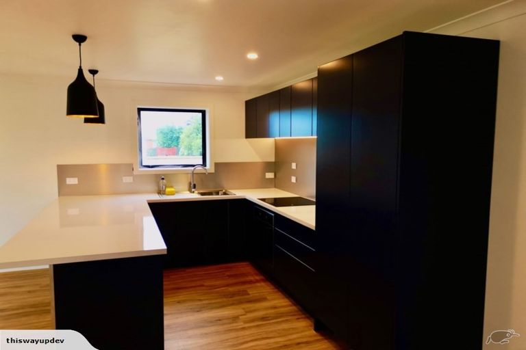 Photo of property in 66 Spenser Street, Milton, 9220