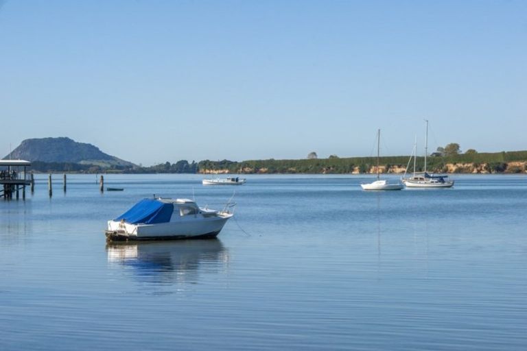 Photo of property in 48 The Esplanade, Omokoroa, 3114