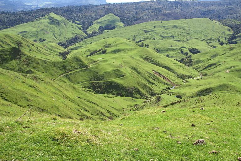 Photo of property in 89 Mcdonald Street, Napier South, Napier, 4110