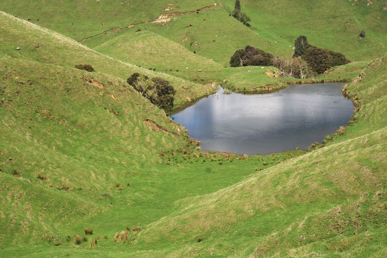 Photo of property in 89 Mcdonald Street, Napier South, Napier, 4110