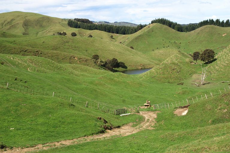 Photo of property in 89 Mcdonald Street, Napier South, Napier, 4110