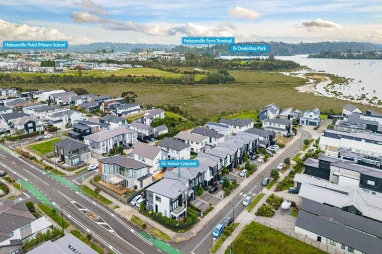 Photo of property in 45 Treloar Crescent, Hobsonville, Auckland, 0616