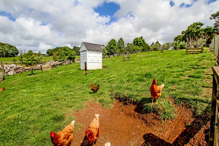 Photo of property in 185 Te Ahu Ahu Road, Ohaeawai, Kaikohe, 0472