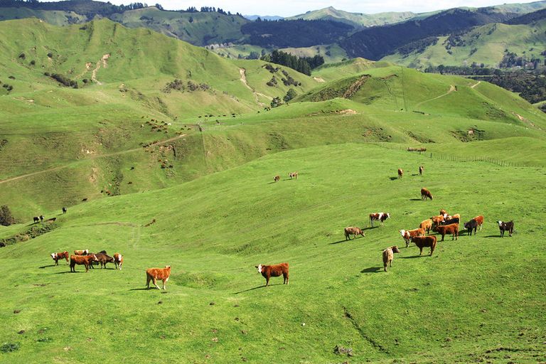 Photo of property in 89 Mcdonald Street, Napier South, Napier, 4110