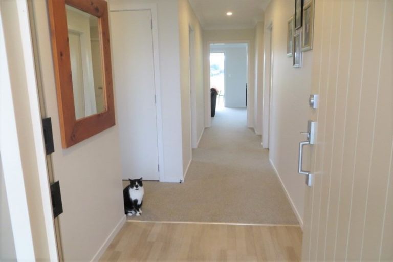 Photo of property in 11 George Street, Te Aroha, 3320