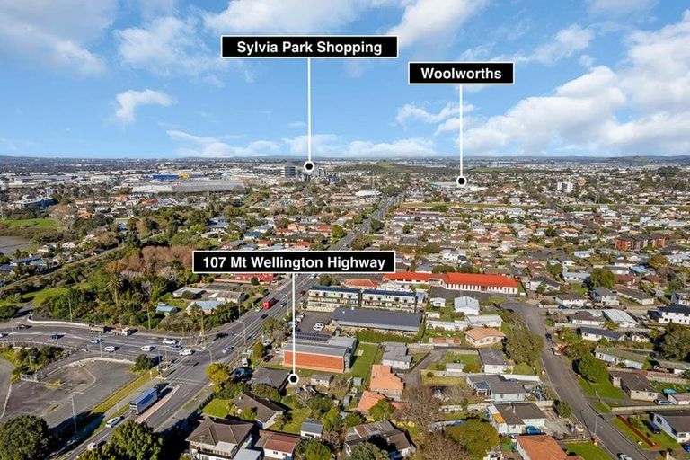 Photo of property in 107 Mount Wellington Highway, Mount Wellington, Auckland, 1060