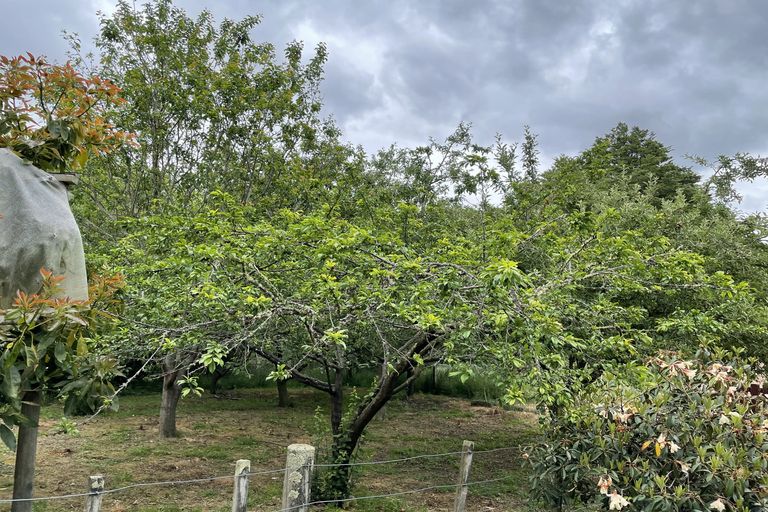 Photo of property in 3896 Ngahape Road, Ngahape, Masterton, 5890