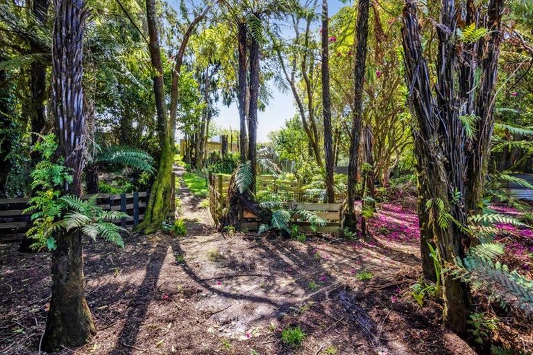 Photo of property in 17 Antonio Street, Stratford, 4332