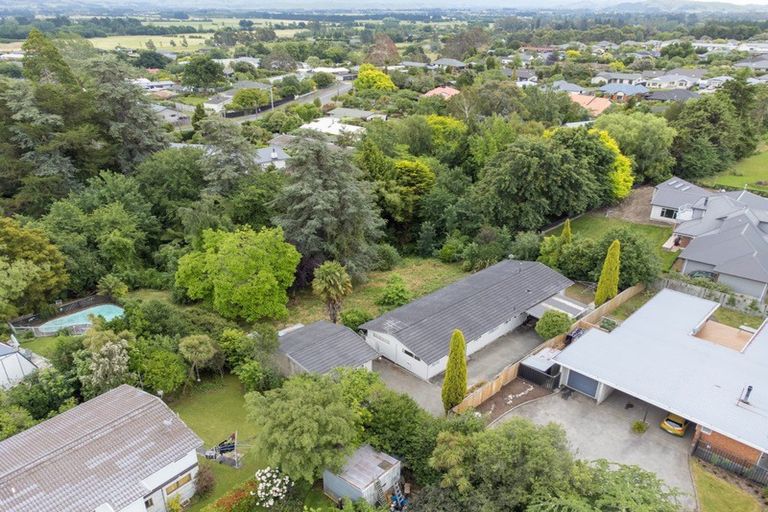 Photo of property in 59 Manuka Street, Lansdowne, Masterton, 5810