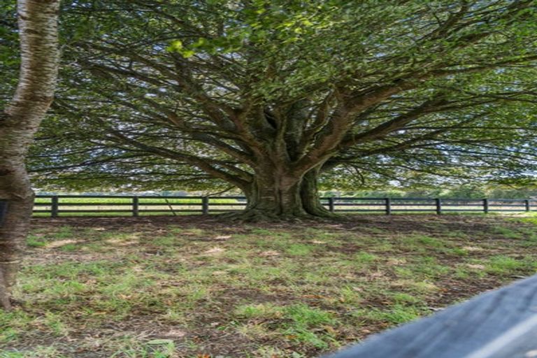 Photo of property in 303 Parallel Road, Ohaupo, Cambridge, 3495