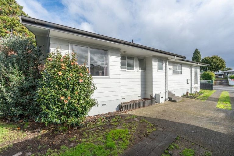 Photo of property in 65 Snell Drive, Chartwell, Hamilton, 3210