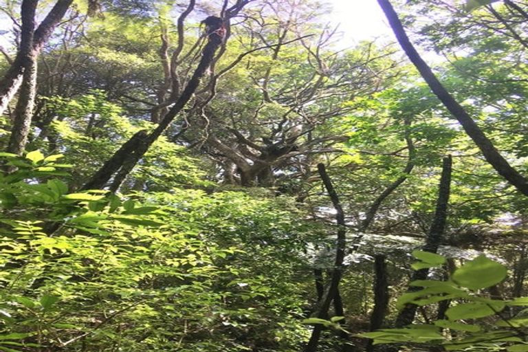 Photo of property in Massey Road, Waipu, 0582