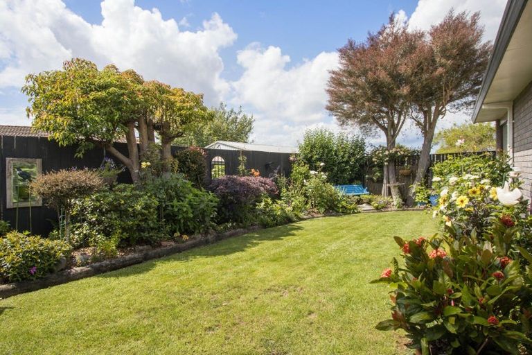 Photo of property in 18 Alexander Street, Katikati, 3129