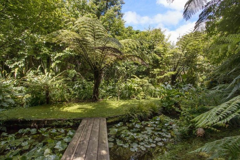 Photo of property in 17 Kent Crescent, Waihi, 3610