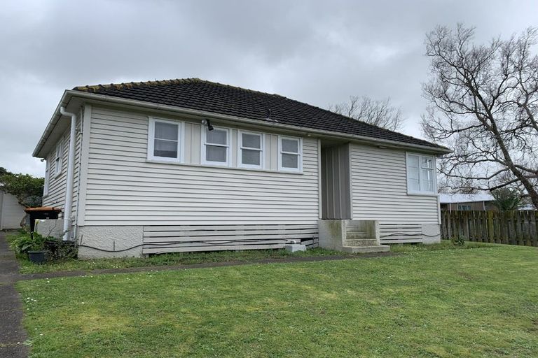 Photo of property in 49 Andrew Avenue, Roslyn, Palmerston North, 4414