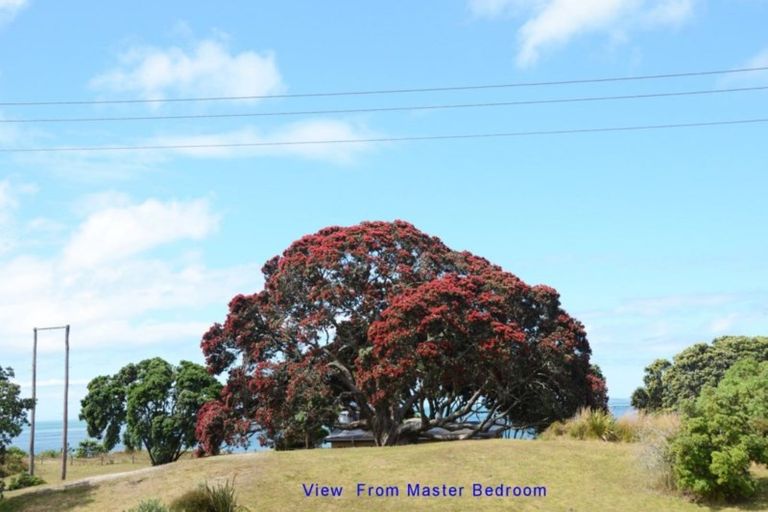 Photo of property in 359 Tangiora Avenue, Whangapoua, Coromandel, 3582