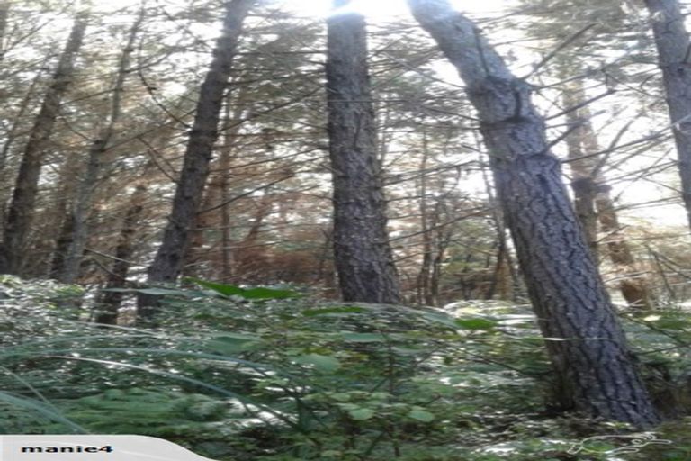 Photo of property in 234 Kerr Road, Parua Bay, Onerahi, 0192