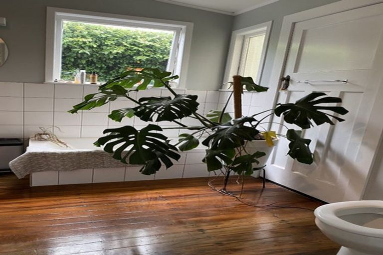 Photo of property in 9 Kinross White Street, Napier South, Napier, 4110