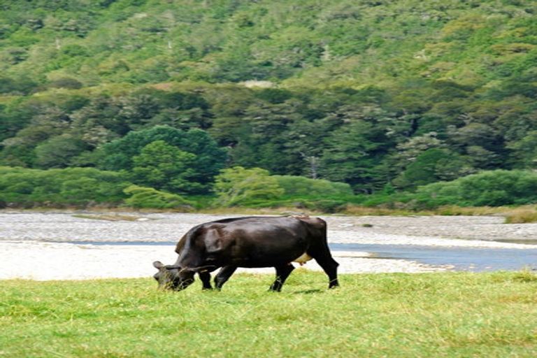 Photo of property in 158 Shillingford Boulevard, Rolleston, 7615