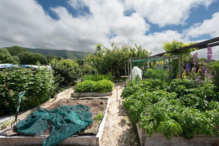 Photo of property in 19 Eric Batchelor Place, Waimate, 7924